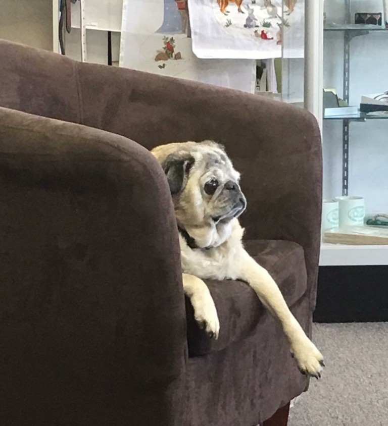 Needlepoint experts in RI Picket Fence Needlepoint